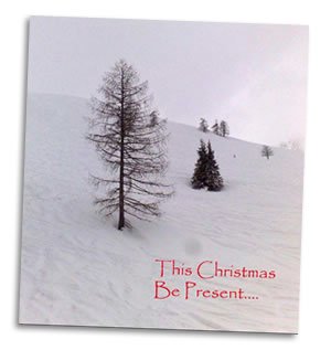 hotpod Christmas card