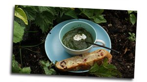 Stinging nettle soup